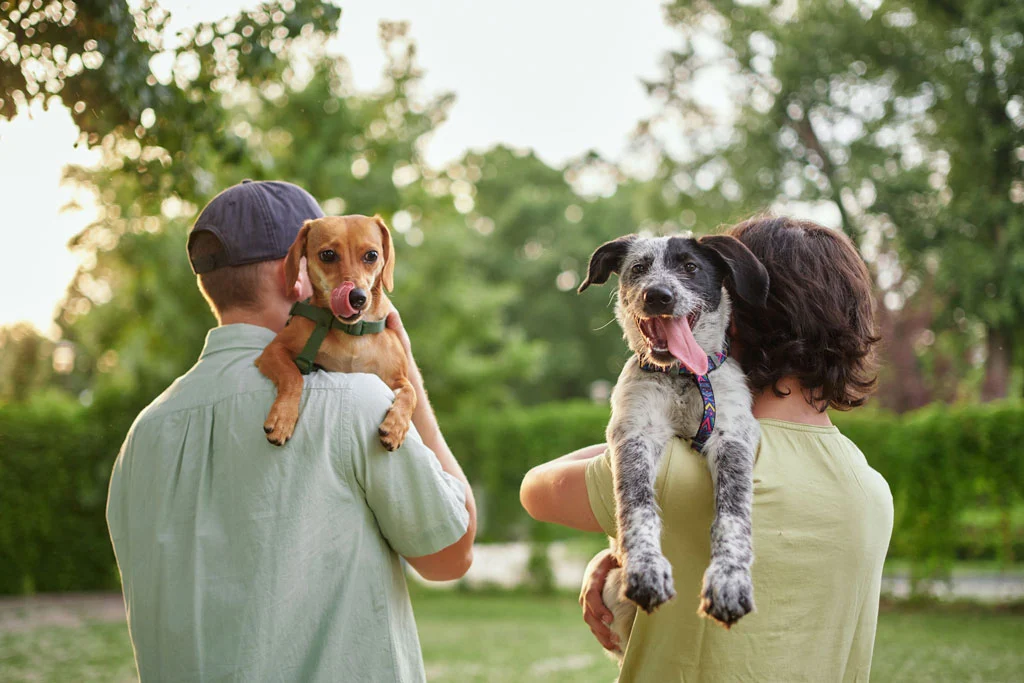 Support, care or happy family, men and kids bonding with foster puppy or pet and enjoying time together. High quality photo